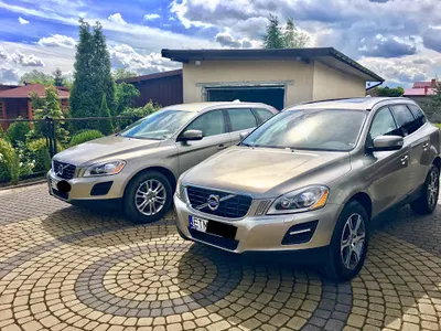 Diamond Rose Detailing